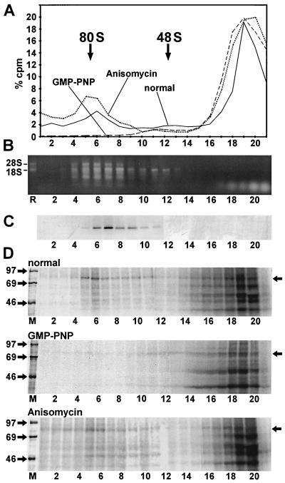 FIG. 5.