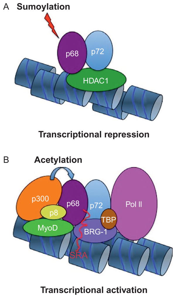 Figure 3.2