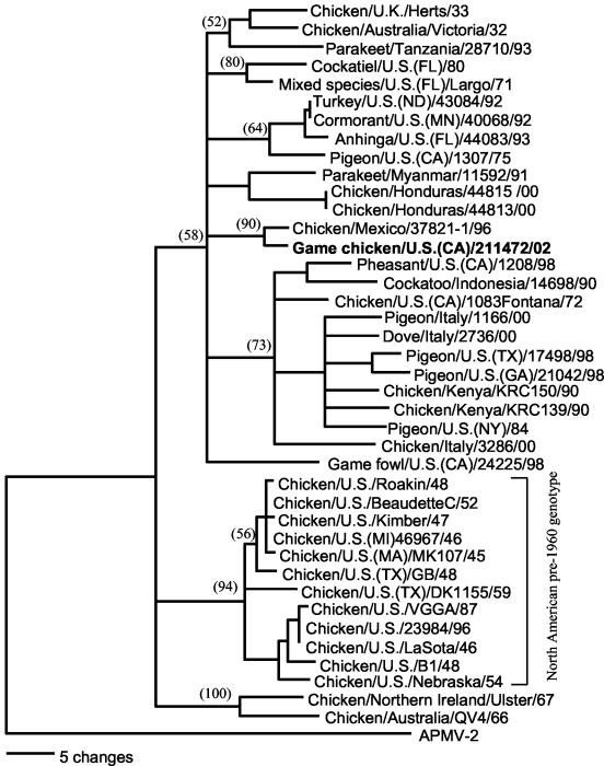 FIG. 1.