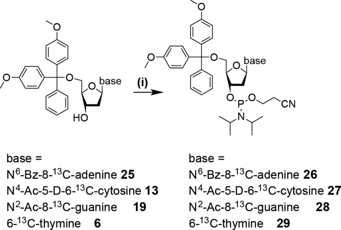 Scheme 3.