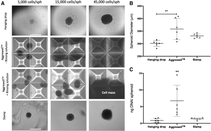 FIG. 6.