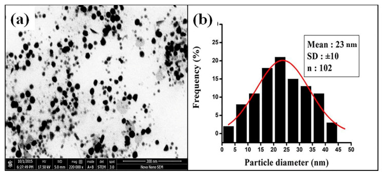 Figure 6