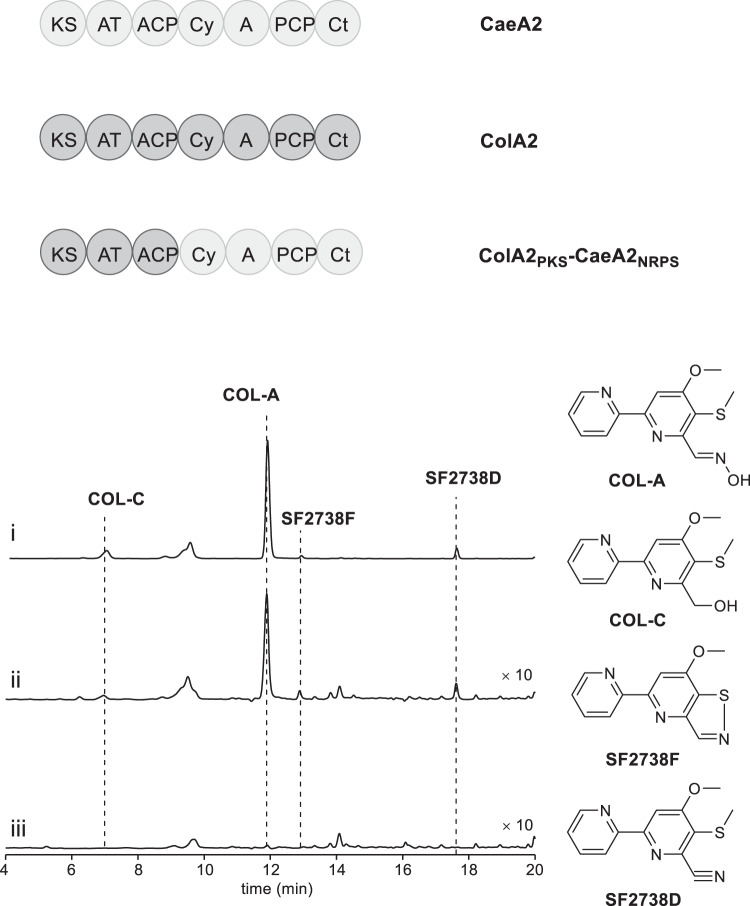 Fig. 6