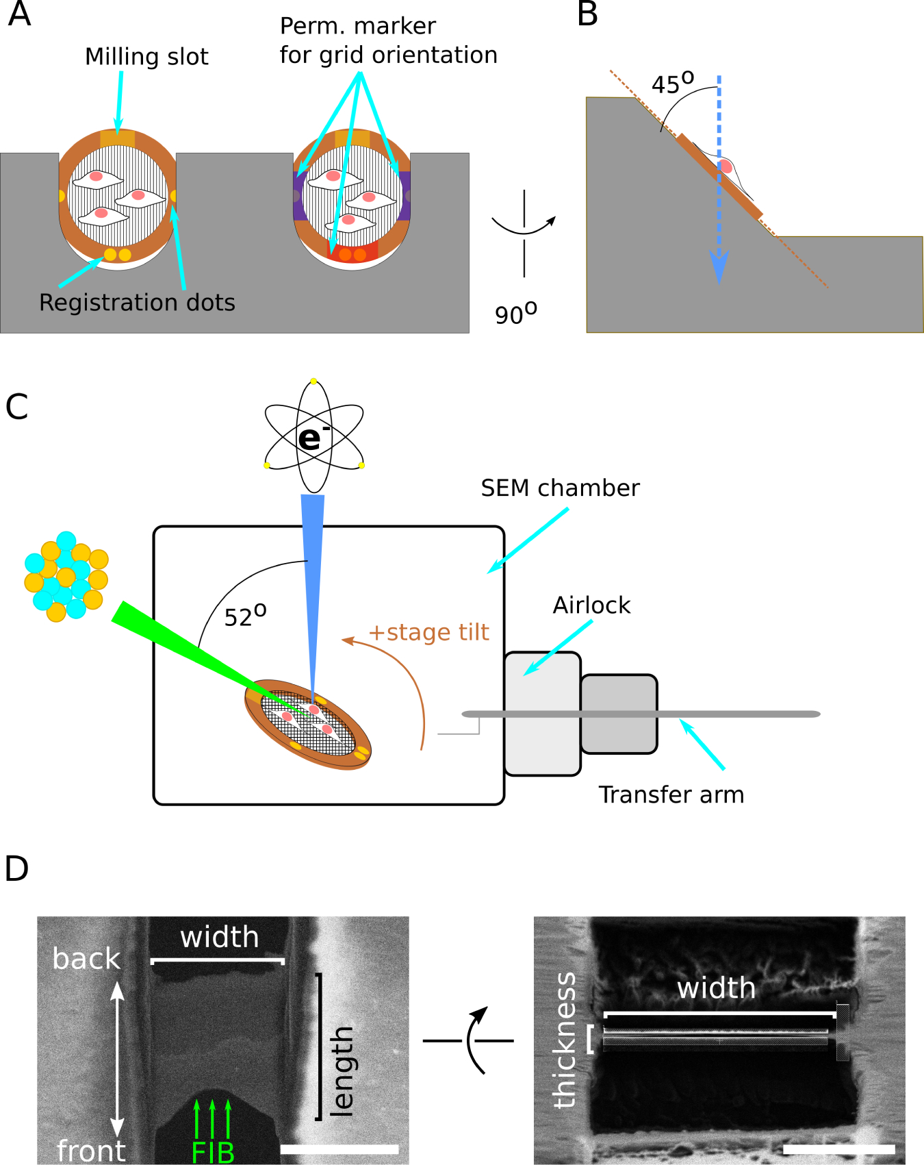 Figure 2: