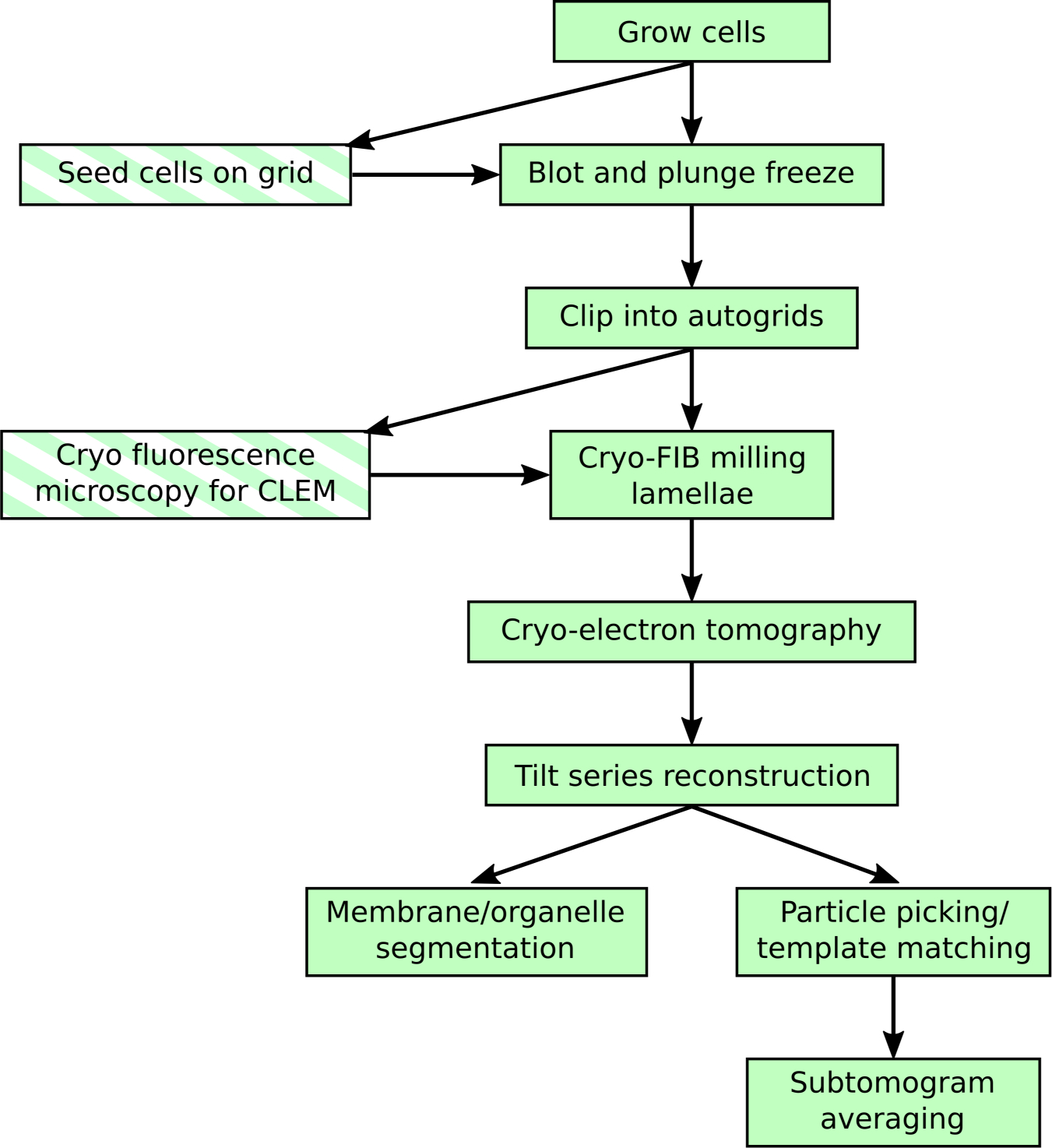 Figure 1: