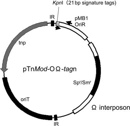 Figure 1