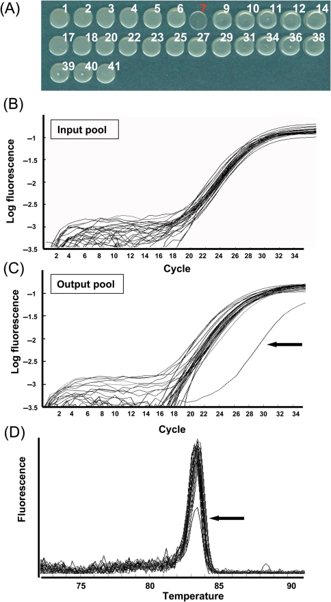 Figure 3