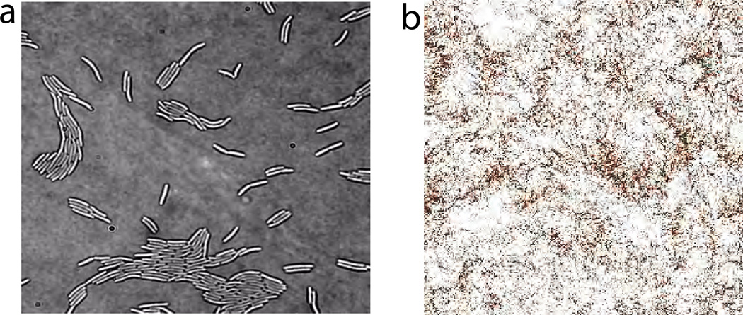 Figure 16