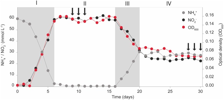 FIG 2