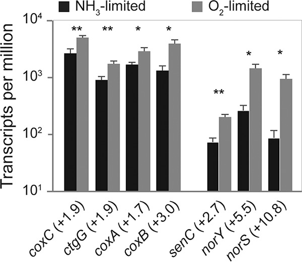 FIG 6