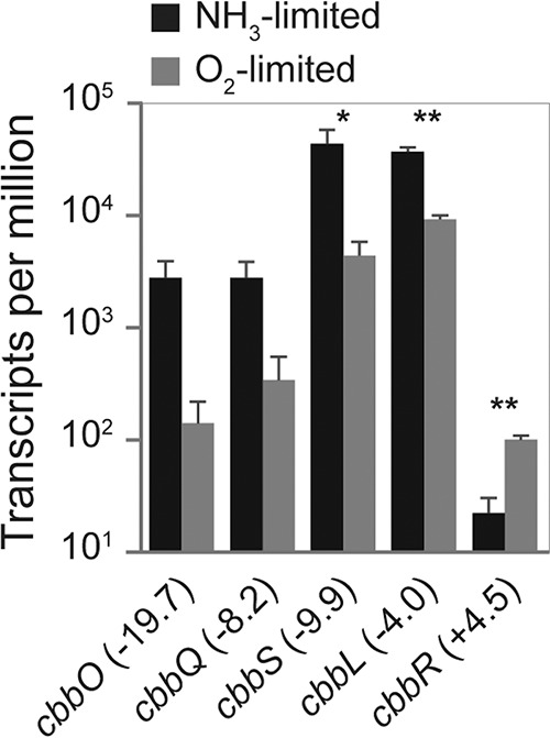 FIG 4