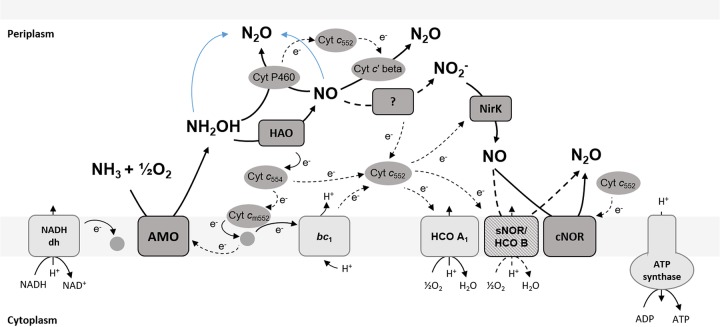 FIG 1