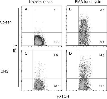 FIG. 4.