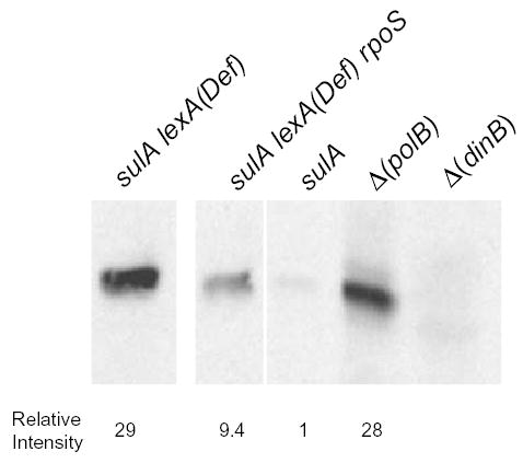 Fig. 8
