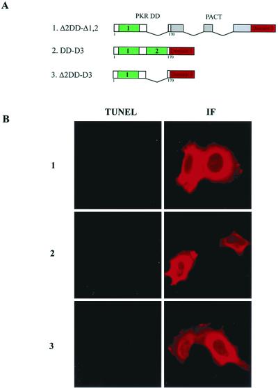 FIG. 8