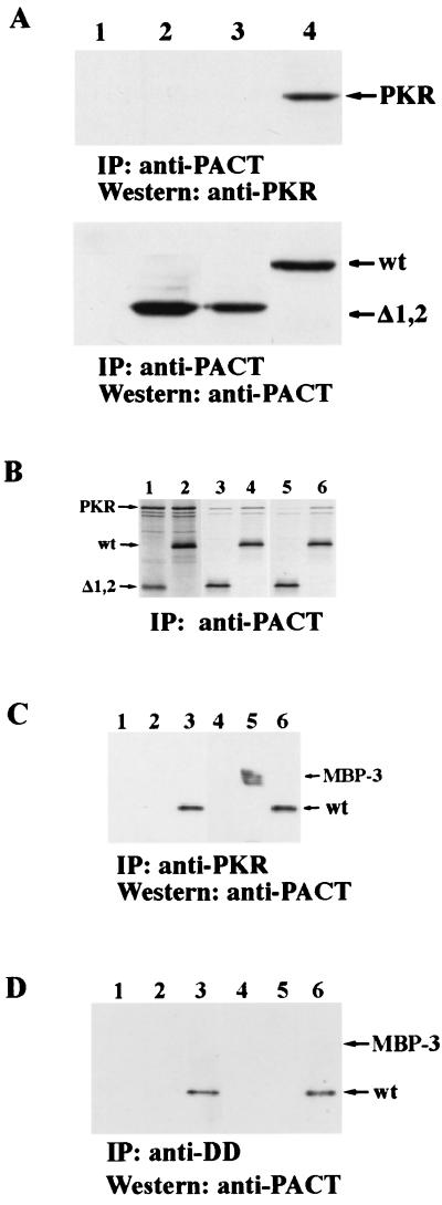 FIG. 6