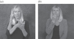 Figure 2.