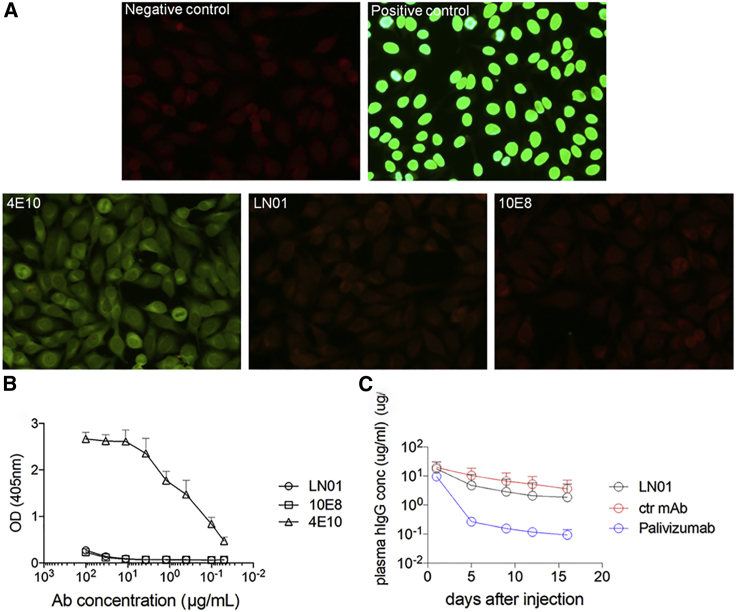 Figure 2