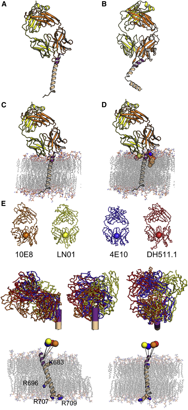 Figure 6