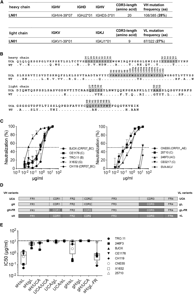 Figure 1