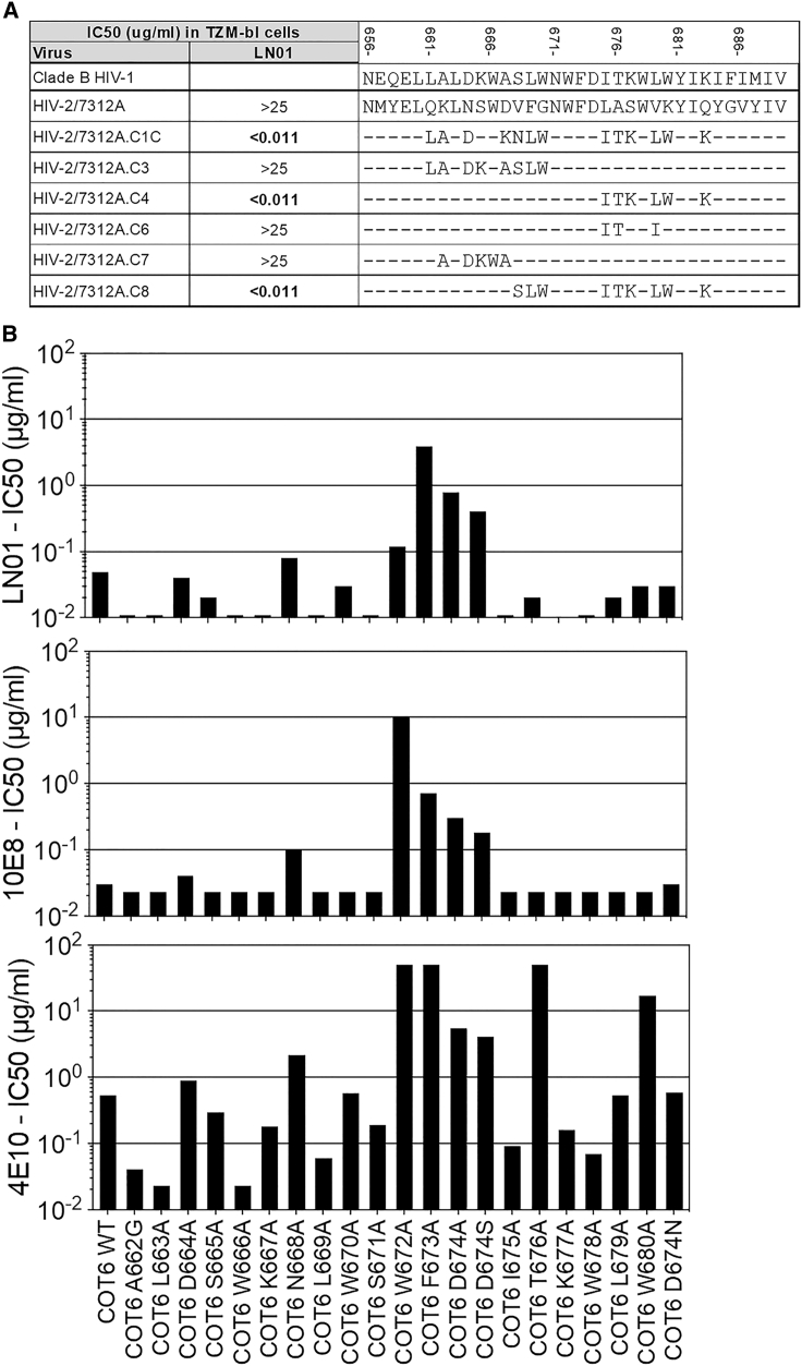 Figure 4