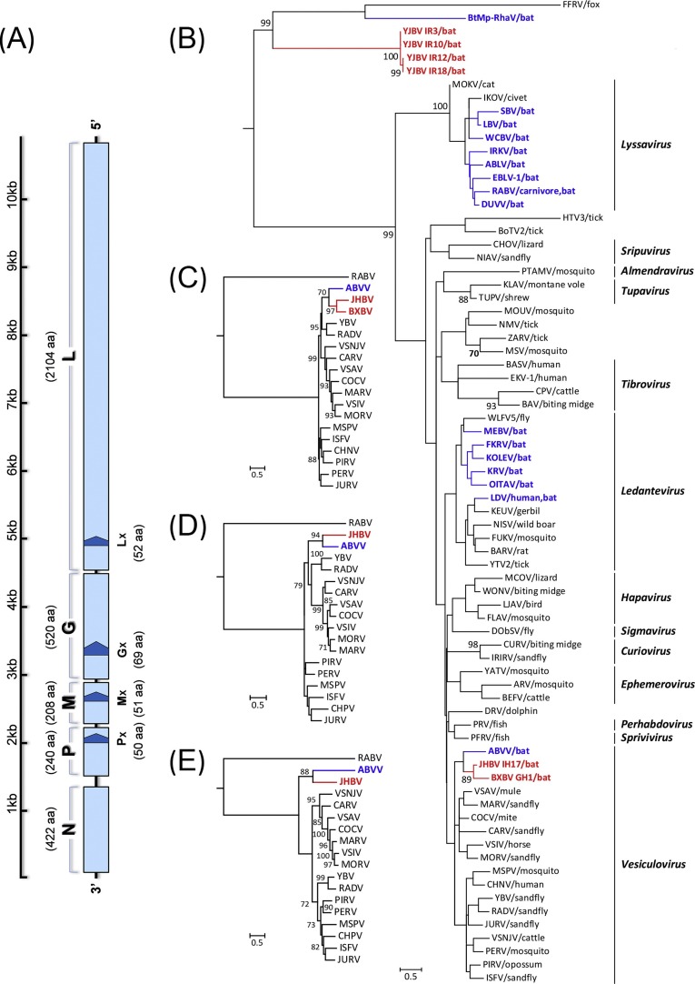 Fig. 2