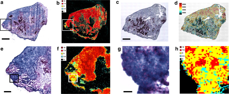 Fig. 4