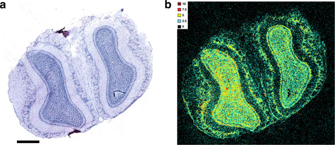 Fig. 2