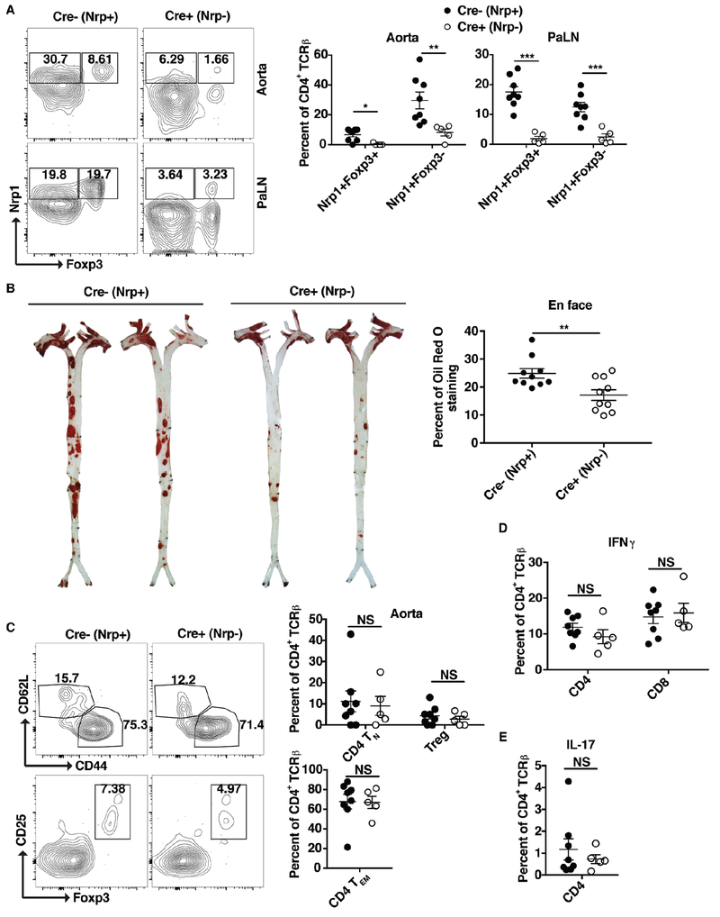 Figure 6: