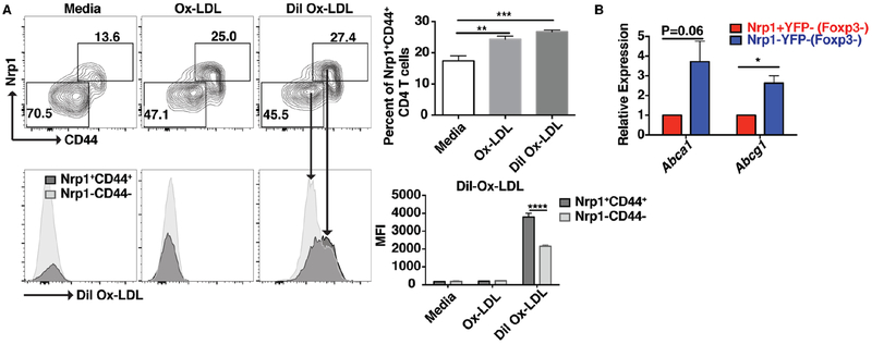 Figure 4: