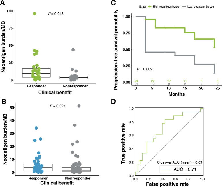 Figure 4. Neoantigen burden is associated with response to therapy. A, Neoantigen burden is significantly higher in responding patients compared with nonresponding patients (n = 48; MWW; P = 0.016). Boxplot covers the IQR from the 25th percentile at its lower bound to the 75th percentile at its upper bound, with median indicated by a horizontal line. The upper whisker includes the largest value within 1.5× IQR above the 75th percentile. The lower whisker includes the smallest value within 1.5× IQR below the 25th percentile. B, Similar findings were observed in the validation cohort, with patients who responded to therapy presenting significantly higher neoantigen burden (MWW; P = 0.021). C, Significantly longer PFS was observed in patients with high neoantigen burden when compared with those with low neoantigen burden (two-sided KM log-rank test; P = 0.002). D, AUROC for the neoantigen model was 0.71, and the cross-validation AUROC mean was 0.69 (log-likelihood ratio P = 0.0329).