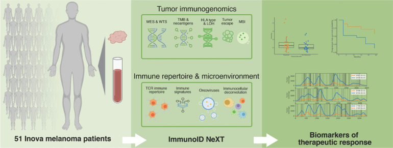 Figure 1. Study schema. Pretreatment blood normal and tumor samples were collected from 51 patients with unresectable, stage III/IV melanoma who underwent anti–PD-1 therapy. Samples were profiled using Personalis' ImmunoID NeXT platform, an enhanced exome/transcriptome platform and analysis pipeline, which produces comprehensive tumor mutation information, gene expression quantification, neoantigen characterization, HLA (typing, mutation, and LOH), TCR repertoire profiling, MSI detection, oncovirus identification, and TME profiling. These data were then analyzed together with clinical outcome, and a composite neoantigen score computed for each patient along with additional biomarkers, such as TMB.