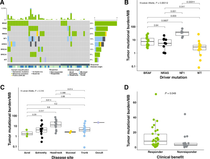 Figure 3. Genomic features and the tumor mutational landscape in melanoma patients. A, Mutation in driver genes of patients receiving anti–PD-1 therapy. Top bar plot represents mutational load. Tiled plot shows mutated genes (rows) by sample (columns), with tile color indicating mutation type. The bar plot to the right represents the number of patients with mutations in the specified gene, colored to indicate mutation type. Under the tiled plot, the first line represents therapeutic response, as either response (partial or complete response; dark green; n = 33), or nonresponse (black; n = 18). B, Comparison of TMB in tumors harboring different driver mutations revealed significant variation (KW; P = 0.00012). Values are plotted on log10 scale. C, Comparison of TMB in different melanoma types, and sites of origin revealed significant global variation (KW; P = 0.016), with significant variation found in comparison with melanomas originating in the head and neck. Values are plotted on log10 scale. D, Comparison of TMB in responding versus nonresponding patients revealed significant associations (MMW; P = 0.049). All boxplots in B–D cover the IQR from 25th percentile at their lower bound to the 75th percentile at their upper bound, with median indicated by a horizontal line. The upper whisker includes the largest value within 1.5× IQR above the 75th percentile. The lower whisker includes the smallest value within 1.5× IQR below the 25th percentile.