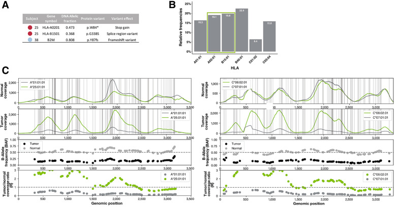 Figure 6. Changes to APM that may contribute to immune evasion. A, Somatic HLA mutations detected in patient 25 may lead to the loss of surface expression of HLA-A02:01 and possible misfolding of HLA-B15:01. A damaging frameshift variant was detected in B2M in patient 38, possibly impairing all MHC class I presentation in that patient. B, 38.9% of neoantigens predicted to be presented by patient 25 are predicted to bind to the damaged alleles described in A. C, Four panels showing the NGS sequence-based evidence for HLA LOH in HLA-A and HLA-C of patient 54. HLA-B is not shown. The first row shows the raw read coverage of both homologous alleles in the normal sample. The second row shows the raw read coverage of both homologous alleles in the tumor sample. Both plots have vertical gray lines representing the positions of difference between the two alleles. Because of strict mapping parameters requiring all reads to map without mismatch, differences in coverage at the gray lines represent true differences in coverage between the alleles. The third panel shows the BAF from the normal sample (gray) and the tumor sample (black). The BAF in the tumor sample must be considered in light of the BAF in the normal sample because of primer hybridization differences between the alleles. The fourth panel shows the ratio in coverage between the tumor and normal samples for each allele. These values have been normalized by the tumor and normal read depth across the whole exome. The expected value with no copy-number change is 1, shown with a dashed gray line. Both the third and fourth panel show data only for the mismatch positions between the two alleles.