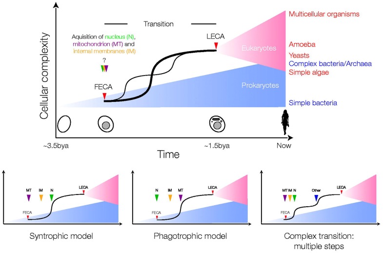 Figure 2.