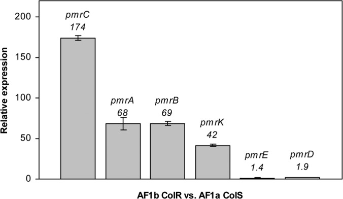 FIG 1