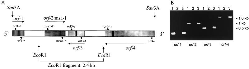 FIG. 1