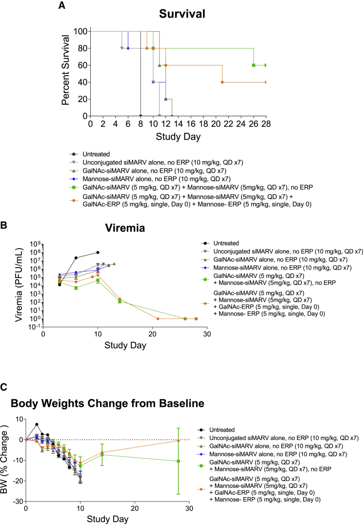 Figure 7