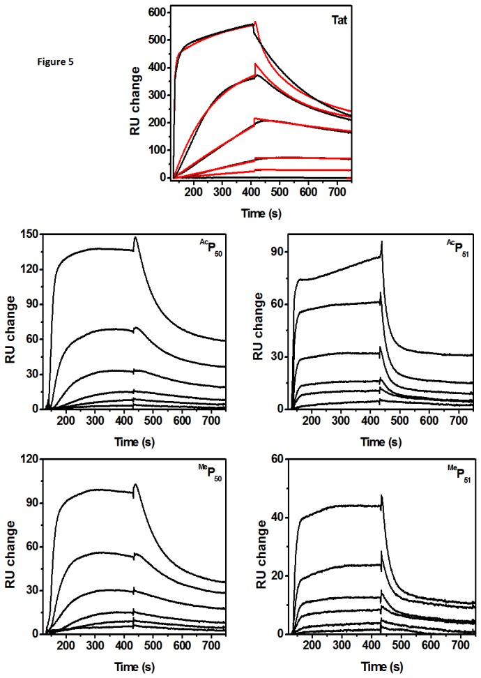 Figure 5