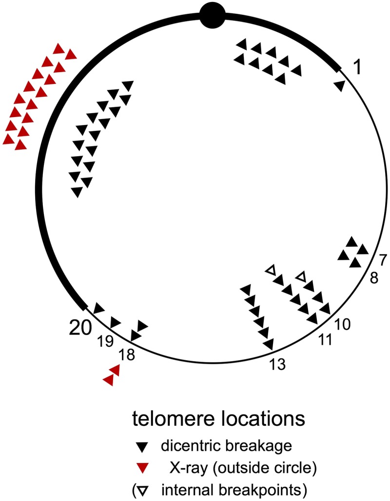 Figure 8