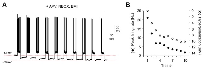 Figure 7—figure supplement 1.