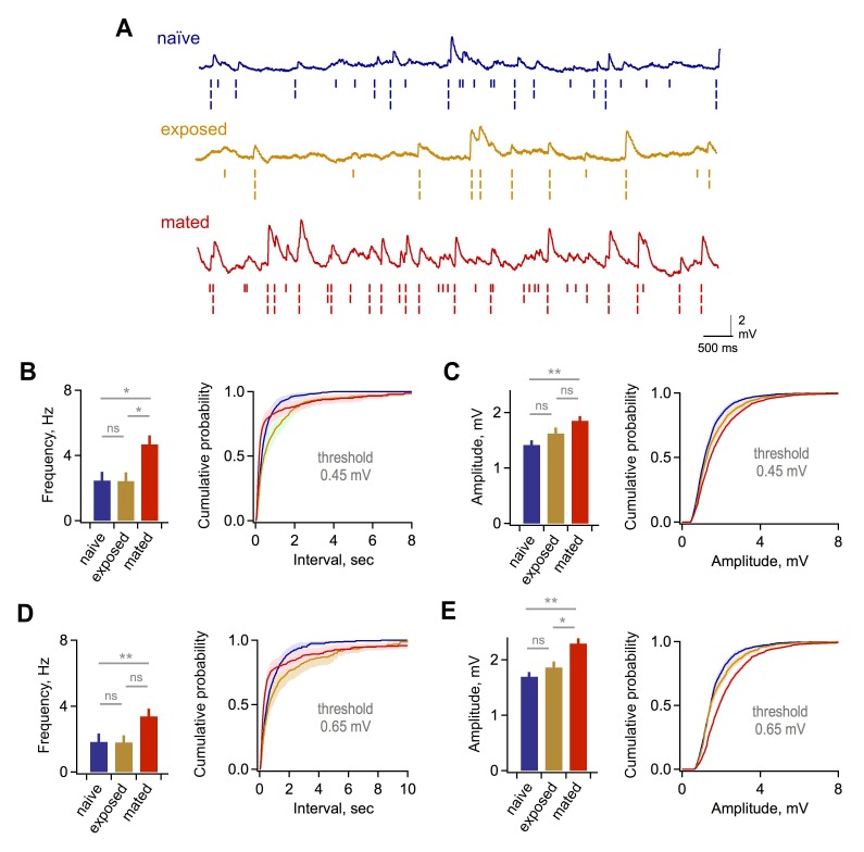 Figure 2—figure supplement 3.