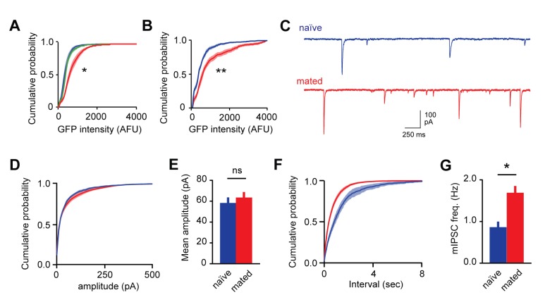 Figure 3—figure supplement 1.