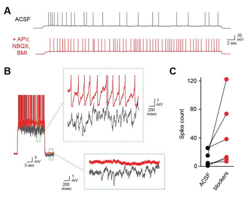 Figure 1—figure supplement 1.