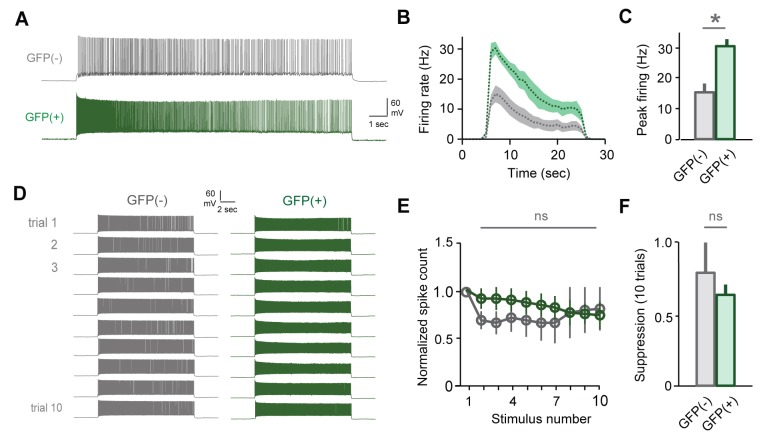 Figure 6—figure supplement 2.