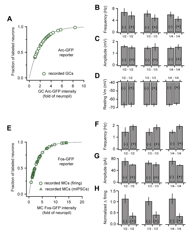 Figure 6—figure supplement 1.