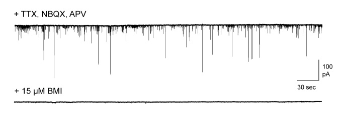 Figure 2—figure supplement 2.