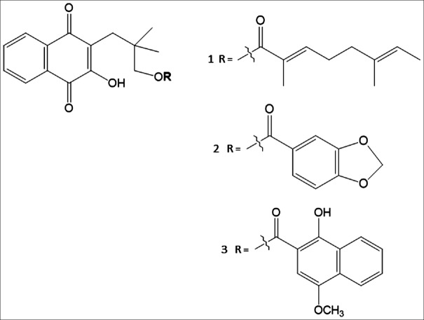 Figure 1