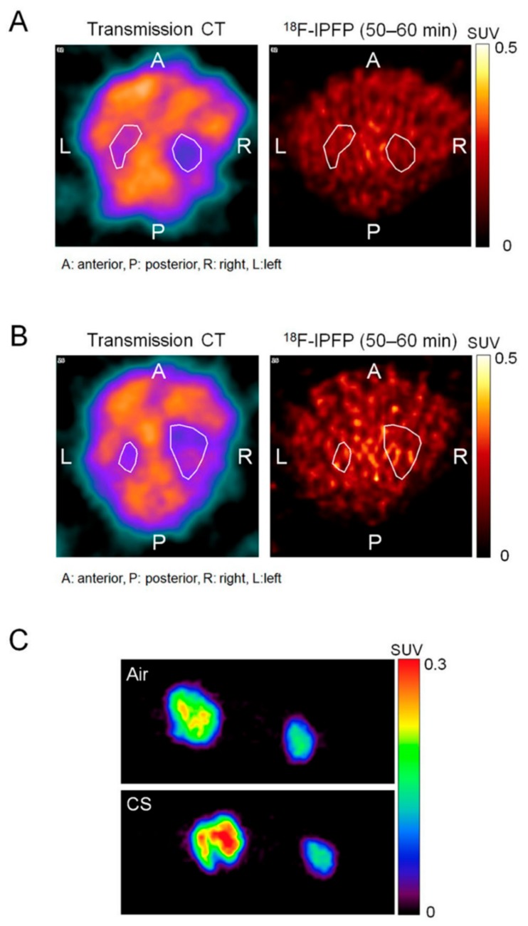 Figure 11