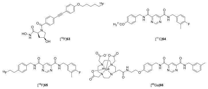 Scheme 15